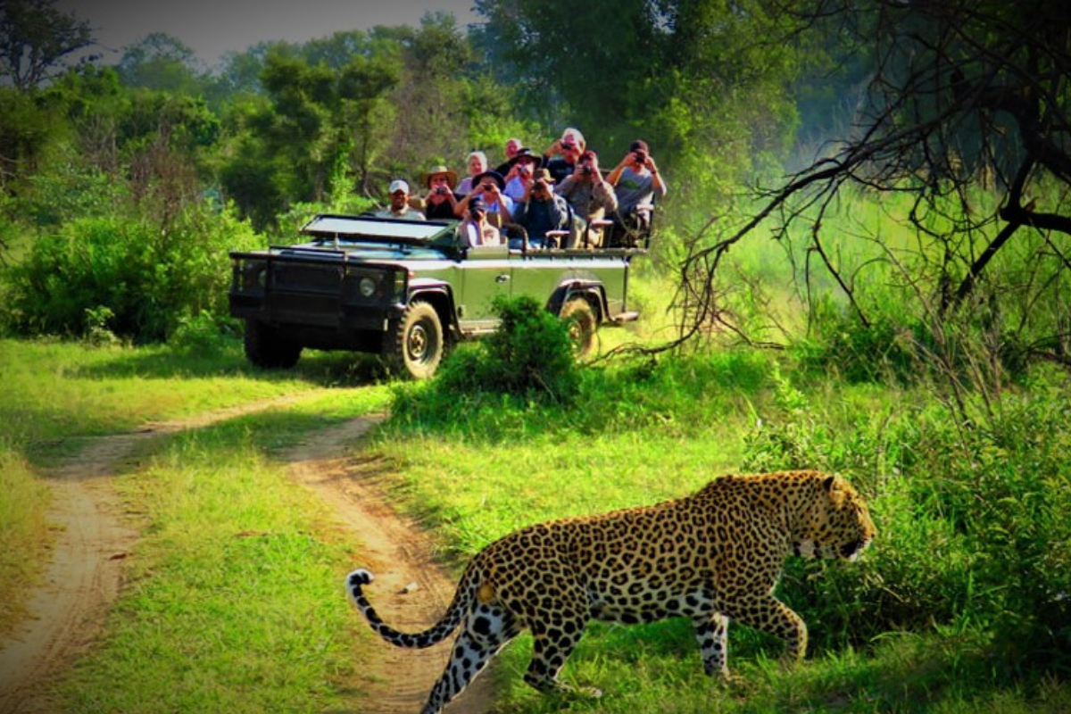 Chitwan National Park 
