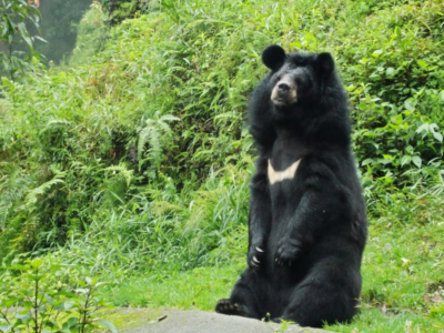 3 Nights 4 Days Shivapuri National Park Tour